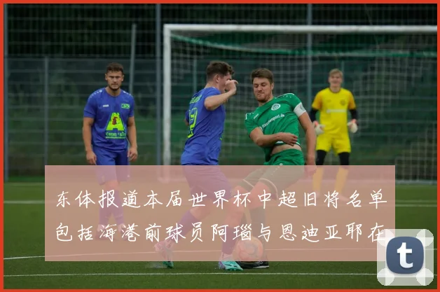 东体报道本届世界杯中超旧将名单包括海港前球员阿瑙与恩迪亚耶在内的10位球员